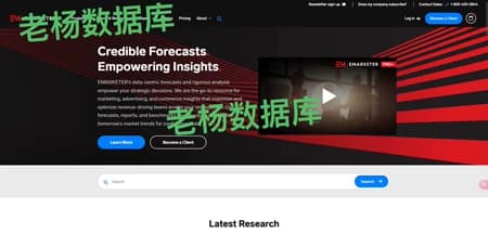 eMarketer 数字营销市场研究报告数据库会员订阅
