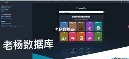 VisualDx 循证诊断决策辅助工具永久会员订阅